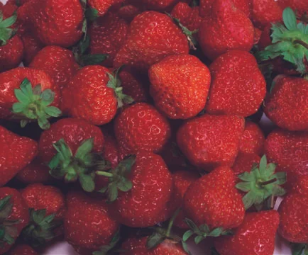 Strawberries Stock Photos