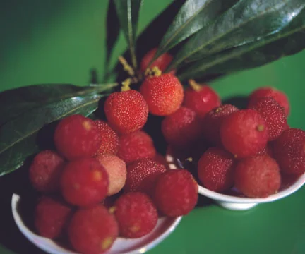 Strawberries Stock Photos
