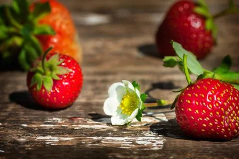 Strawberries Stock Photos
