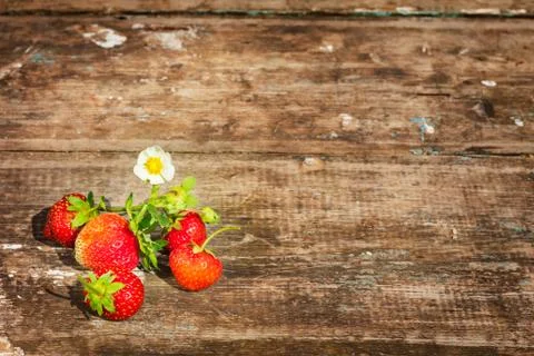 Strawberries Stock Photos