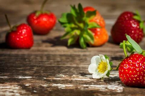 Strawberries Stock Photos