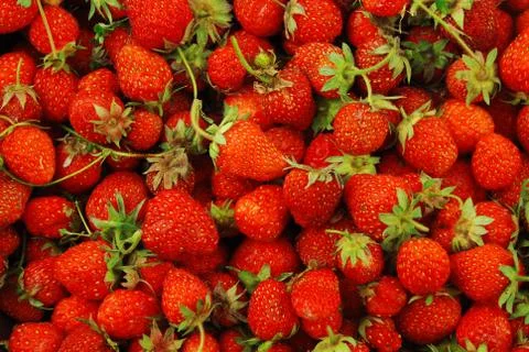 Strawberries Foto stock