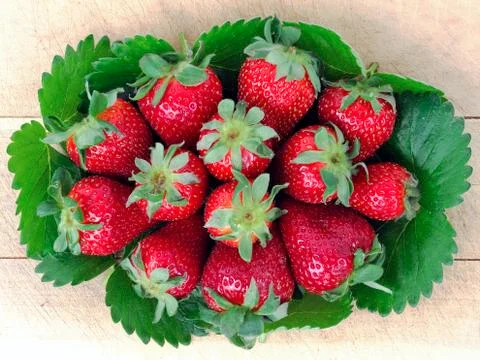 Strawberries Stock Photos