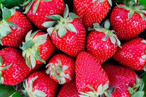 Strawberries Stock Photos