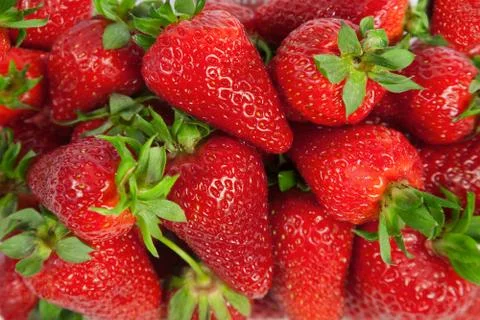 Strawberries Stock Photos