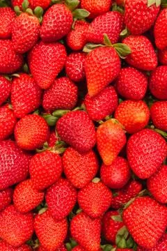 Strawberries Fotos Stock