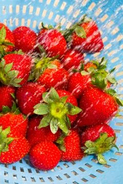 Strawberries Stock Photos