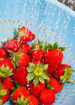 Strawberries Foto stock