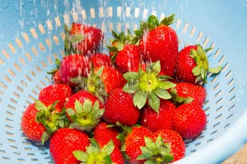 Strawberries Stock Photos