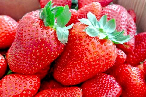 The strawberries Stock Photos