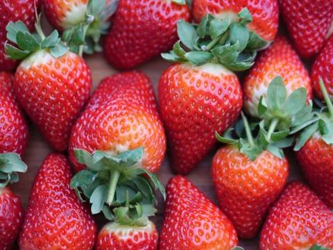 Strawberries Stock Photos