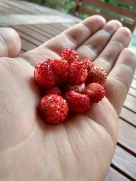 Strawberries Foto stock