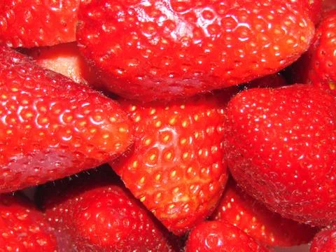 Strawberries. Foto stock