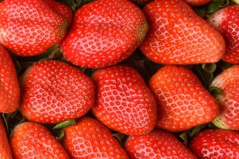 Strawberries Stock Photos