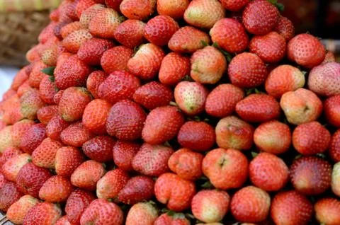 Strawberries Stock Photos