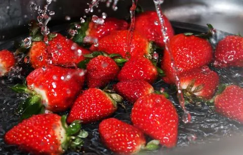 Strawberries 库存照片