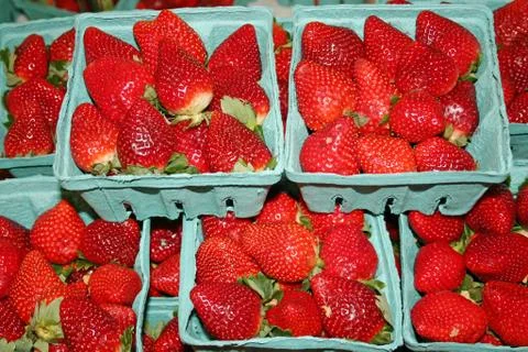Strawberries Stock Photos
