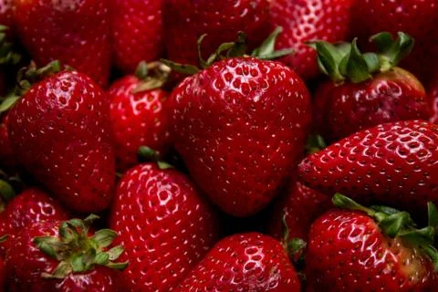 Strawberries Stock Photos