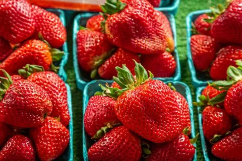 Strawberries Stock Photos