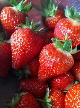 Strawberries Fotos Stock