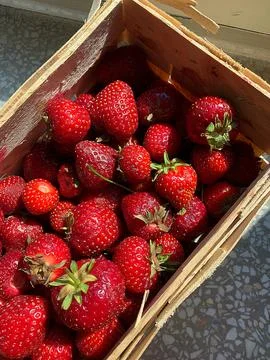 Strawberries Stock Photos