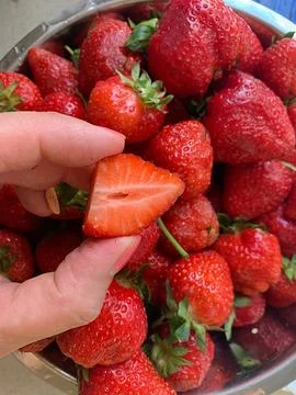 Strawberries Stock Photos