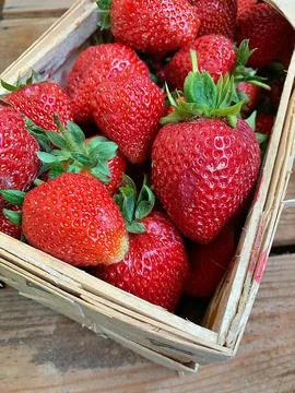 Strawberries Stock Photos
