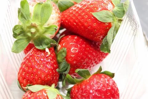 Strawberries Stock Photos