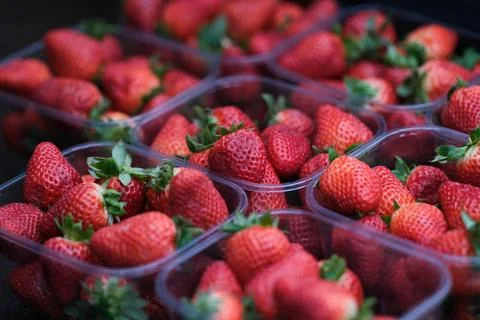 Strawberries Stock Photos