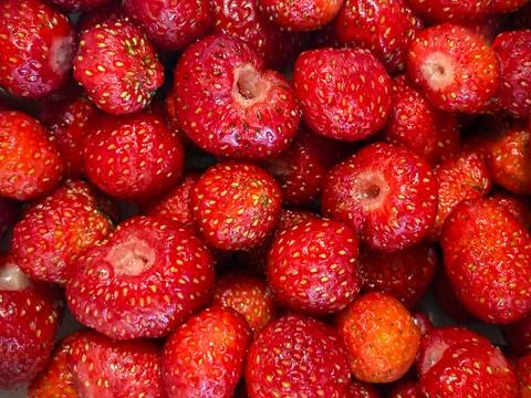 Strawberries photographed from an upper angle. The frame is filled with a red Stock Photos