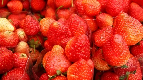 Strawberries in the plastic bag Stock Footage 86560973