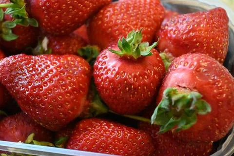 Strawberries in plastic container close-up Fotos Stock