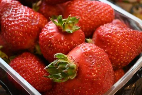 Strawberries in plastic container close-up Fotos Stock