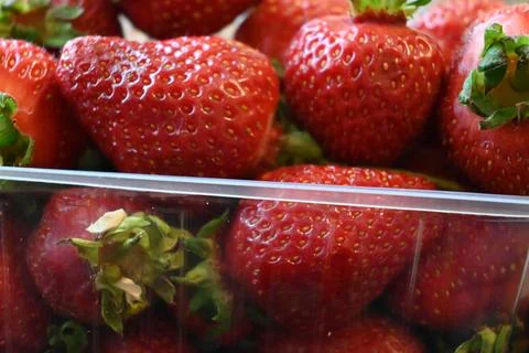 Strawberries in plastic container close-up Fotos Stock