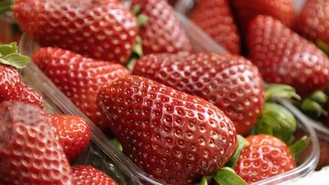 Strawberries in a plastic container, at a street market, in a supermarket. Stock Photos