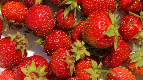 Strawberries on plate in closeup Stock Footage 125460688