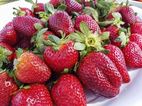 Strawberries presented in a serving platter Stock Photos