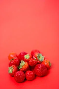 Strawberries on red background Stock Photos
