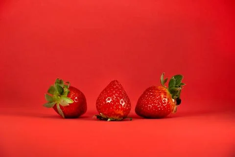 Strawberries on a red background. Stock Photos