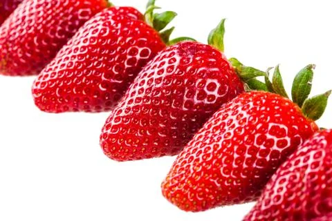 Strawberries in a row Stock Photos