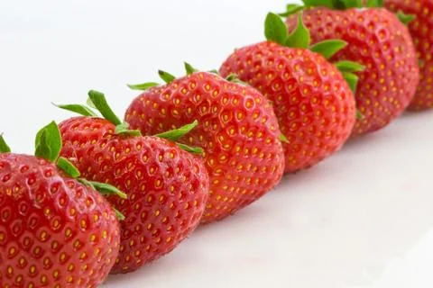 Strawberries in a row Stock Photos