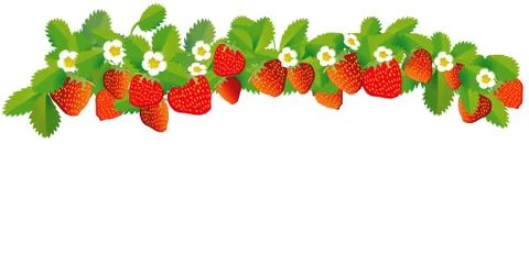 Strawberries in a row - vector illustration Stock Illustration