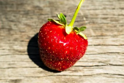 Strawberries  on a rustic background Stock Photos