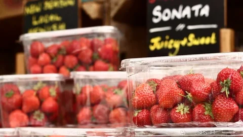 Strawberries for sale, pull focus 動画素材 104167598