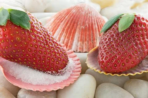 Strawberries in seashells Stock Photos