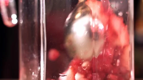 Strawberries with seeds of pomegranate Stock Footage 129077799