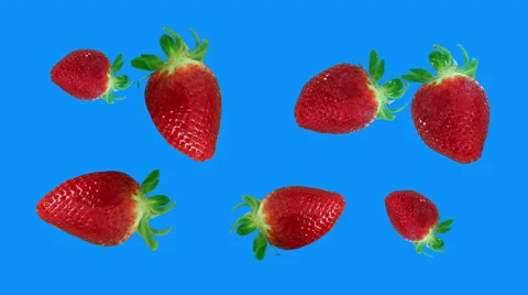 Strawberries spinning loop blue screen Stock Footage 62916819