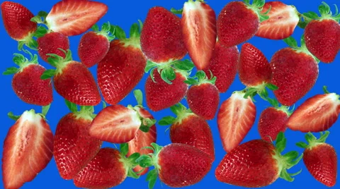 Strawberries stop motion transition blue screen Stock Footage 62945794