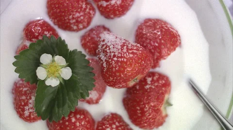 Strawberries, Sweden. Stock Footage 51849984