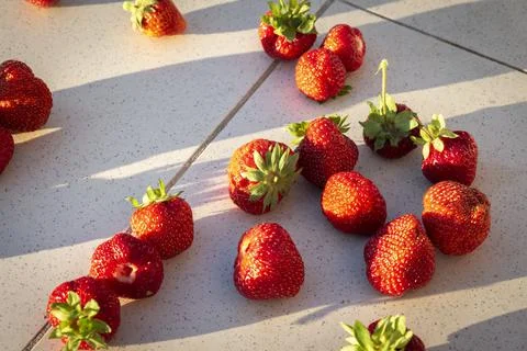 Strawberries on the table Stock Photos